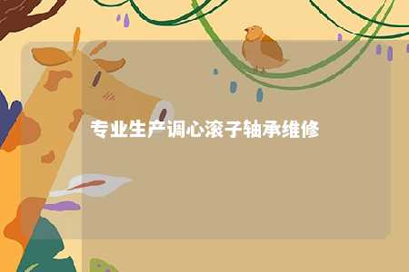 专业生产调心滚子轴承维修 