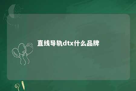 直线导轨dtx什么品牌 