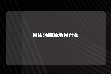 固体油脂轴承是什么 