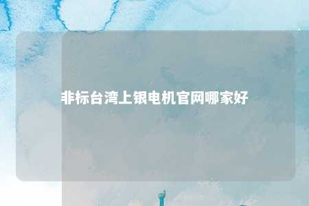 非标台湾上银电机官网哪家好 