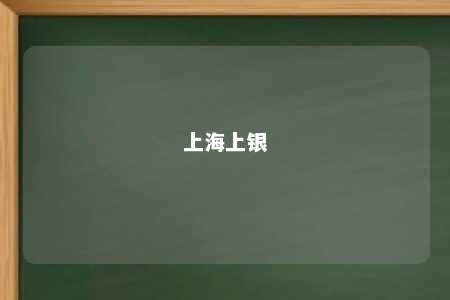 上海上银 
