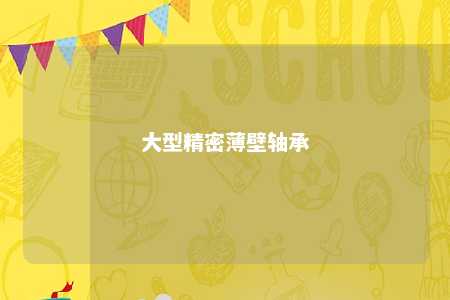 大型精密薄壁轴承 