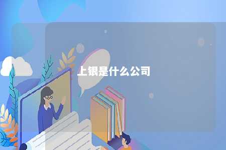 上银是什么公司 